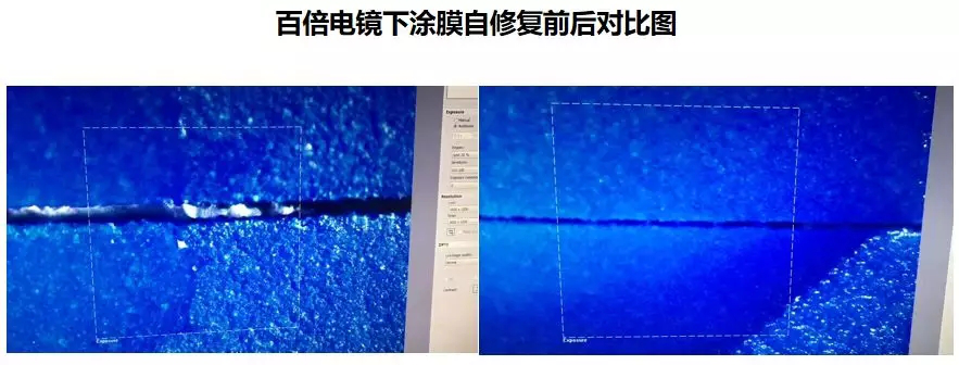 香港宝典资料大全网址