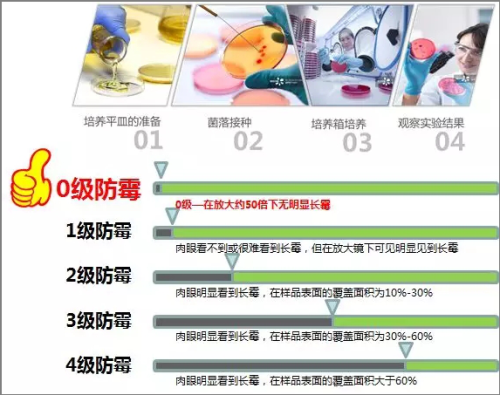 香港宝典资料大全网址